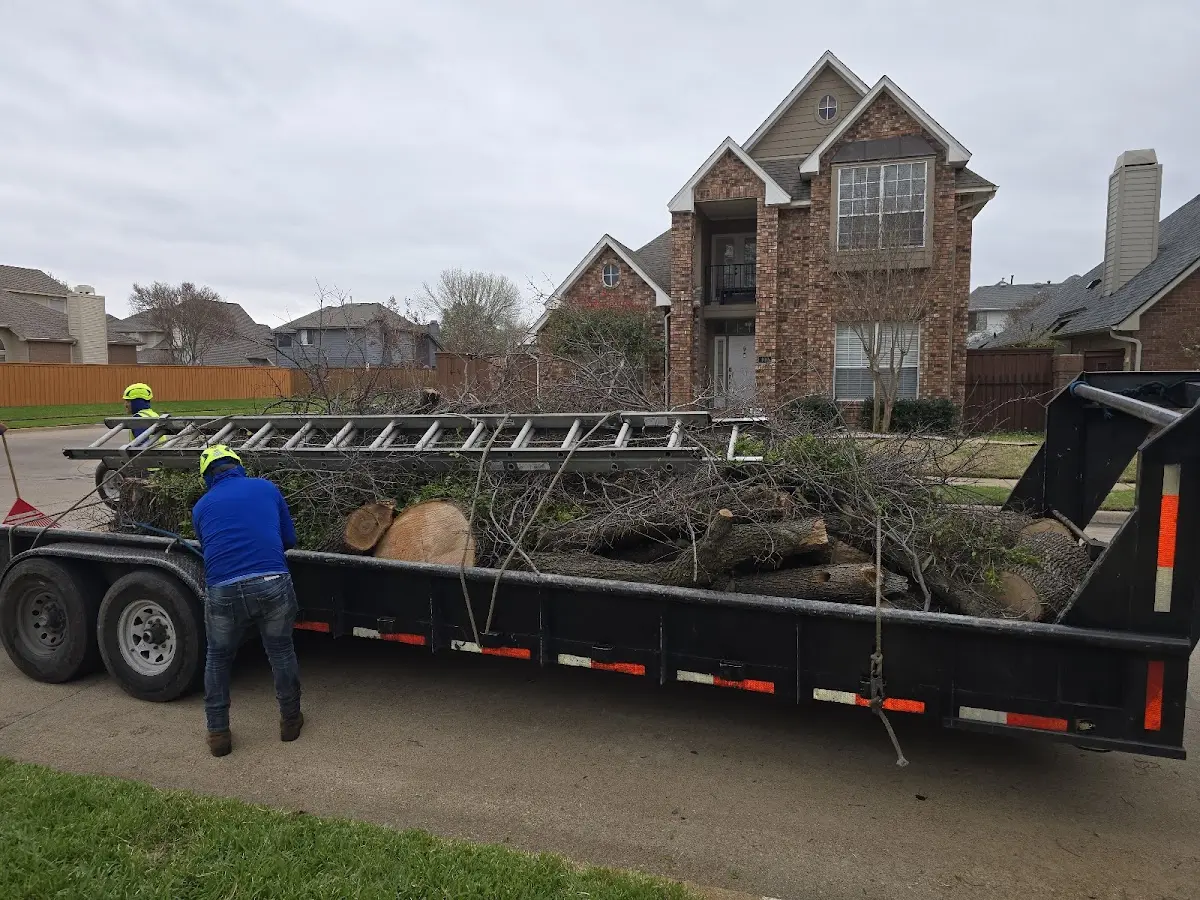 Expert Tree Pest Control with proper safety equipment in Almena